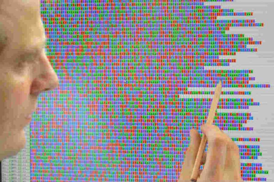 Se public&oacute; el primer mapa gen&eacute;tico de resoluci&oacute;n completa del genoma humano