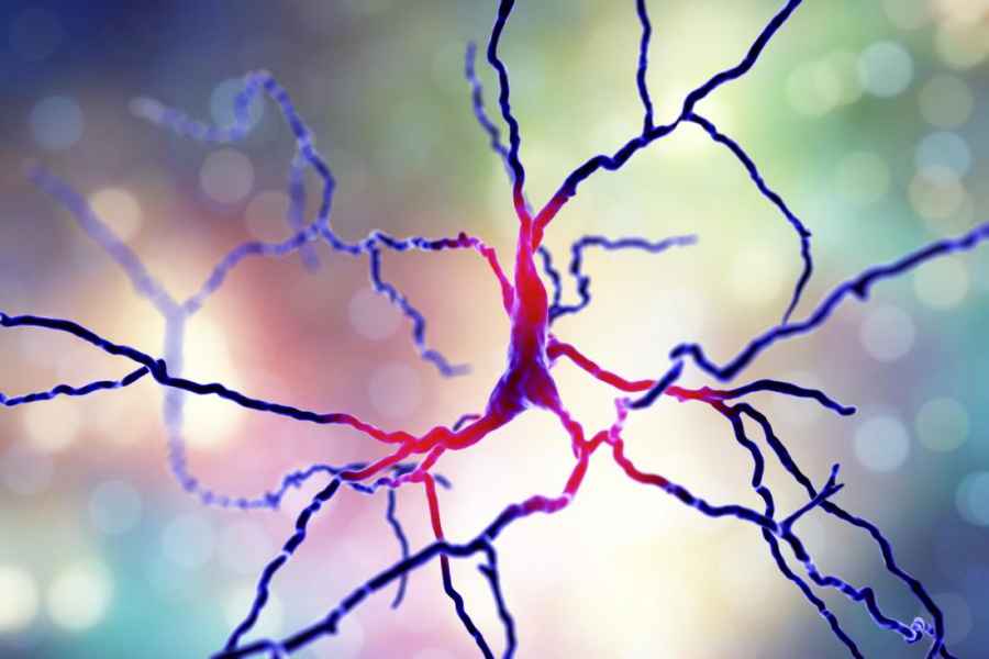 Medicamento disminuye los movimientos involuntarios del Parkinson