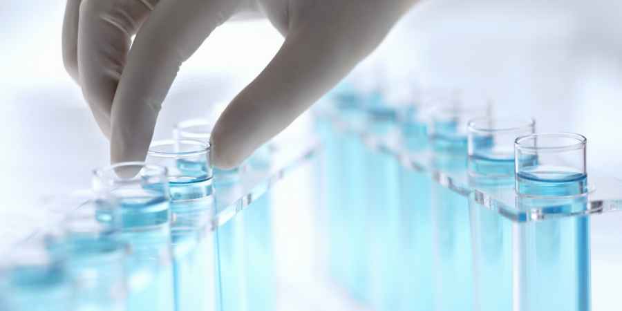 Suplemento dietario en investigaci&oacute;n bajar&iacute;a colesterol y resistencia a la insulina