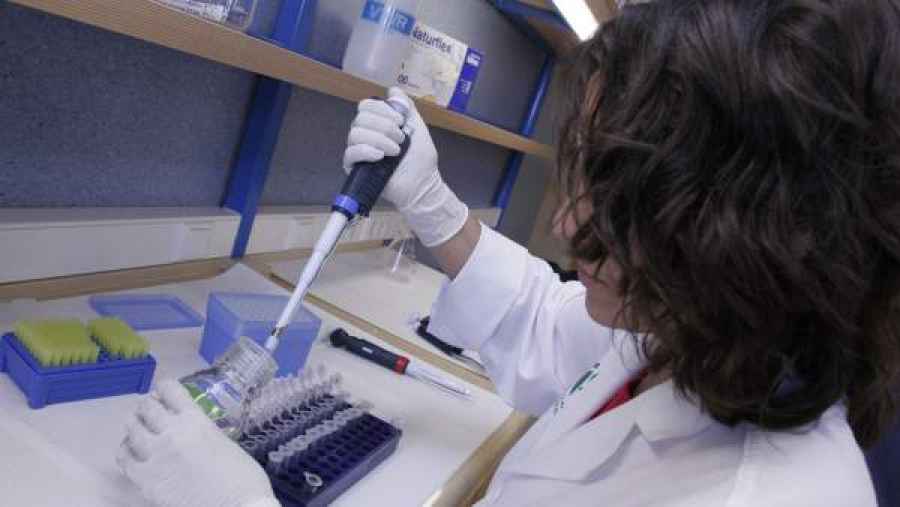 Se trata de una p&iacute;ldora desarrollada por la farmac&eacute;utica nipona Shinogi, a base de baloxavir marboxil. Los ensayos muestran que su acci&oacute;n se completa en 24 horas, contra las 72 que usa el Tamiflu, el m&aacute;s r&aacute;pido hasta el momento en el mercado.