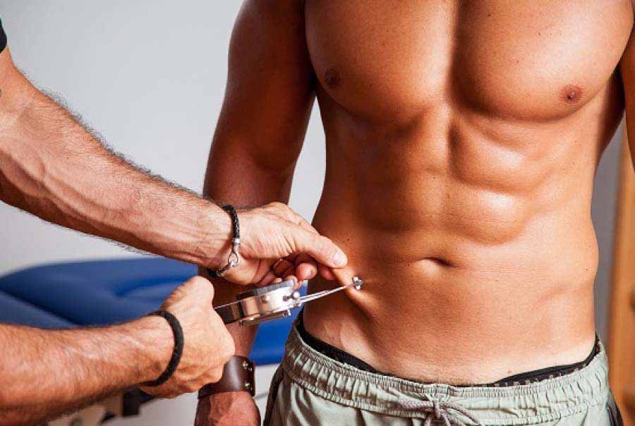 El resveratrol y el pterostilbeno previenen la acumulaci&oacute;n de grasa corporal