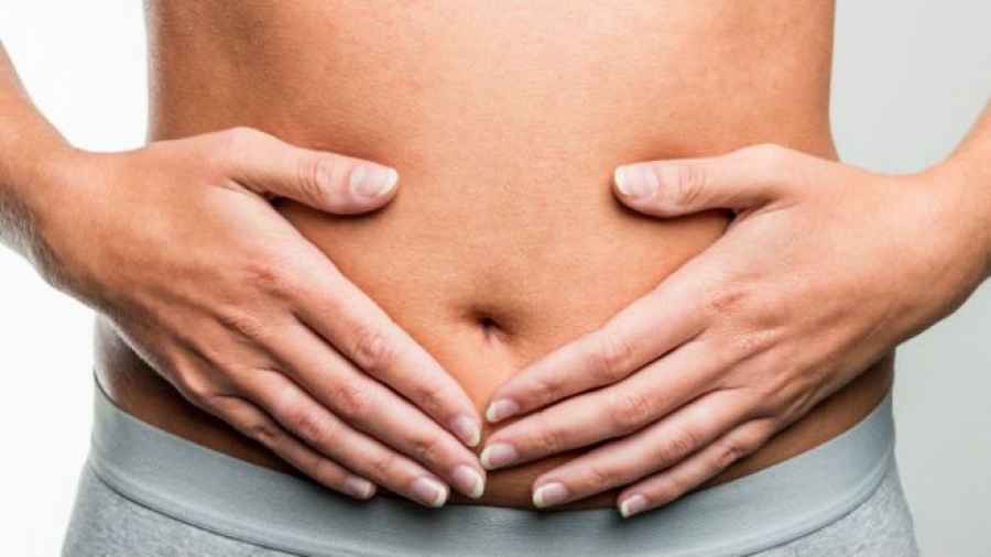 Las c&eacute;lulas inmunitarias intestinales, claves en la salud cardiovascular