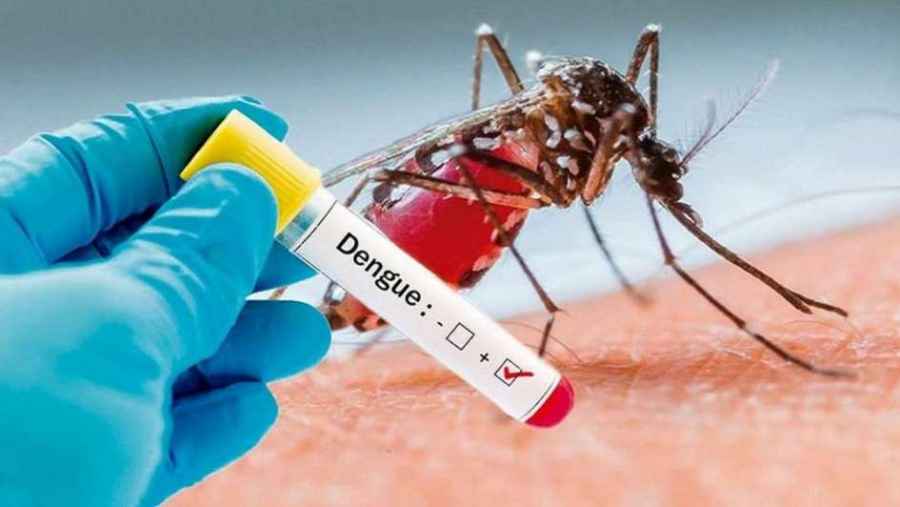Janssen anuncia un nuevo mecanismo de acci&oacute;n contra el dengue