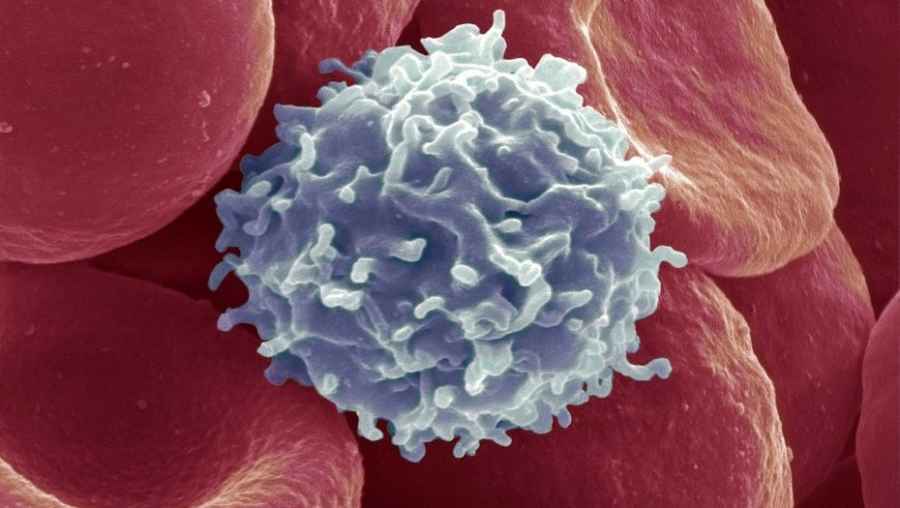Los cient&iacute;ficos informan que han descubierto una forma de modificar los genes de las c&eacute;lulas inmunitarias del cuerpo mediante el uso de campos el&eacute;ctricos.