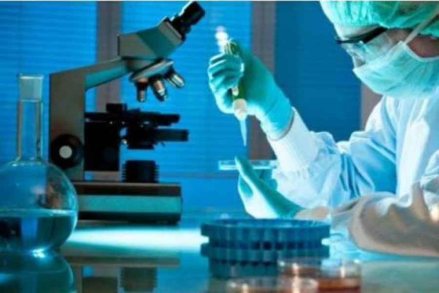 C&oacute;mo desarrollar antibi&oacute;ticos m&aacute;s eficaces