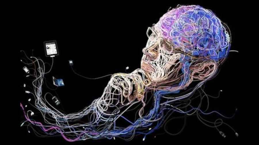 Investigaci&oacute;n: La comunicaci&oacute;n cerebro-intestino podr&iacute;a ser clave en la esperanza de vida