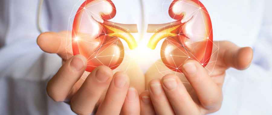 Descubren un potencial blanco terap&eacute;utico para la insuficiencia renal aguda