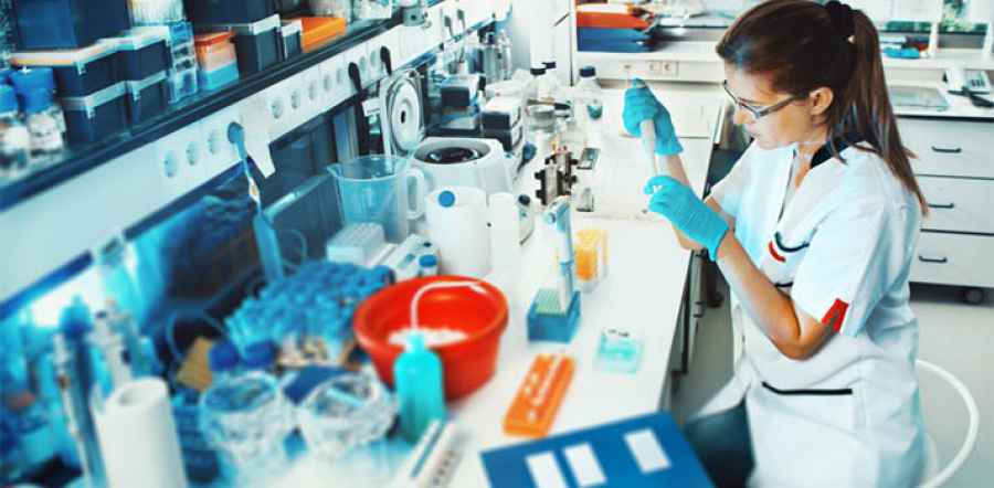 Consiguen frenar el envejecimiento de las c&eacute;lulas humanas, un posible avance para crear nuevos medicamentos