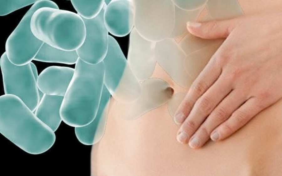 Seg&uacute;n los investigadores del Centro de Referencia para Lactobacilos (CERELA) de Tucum&aacute;n, dependiente del CONICET, la clave podr&iacute;a estar en la ingesti&oacute;n de la bacteria probi&oacute;tica Streptococcus thermophilus CRL1190