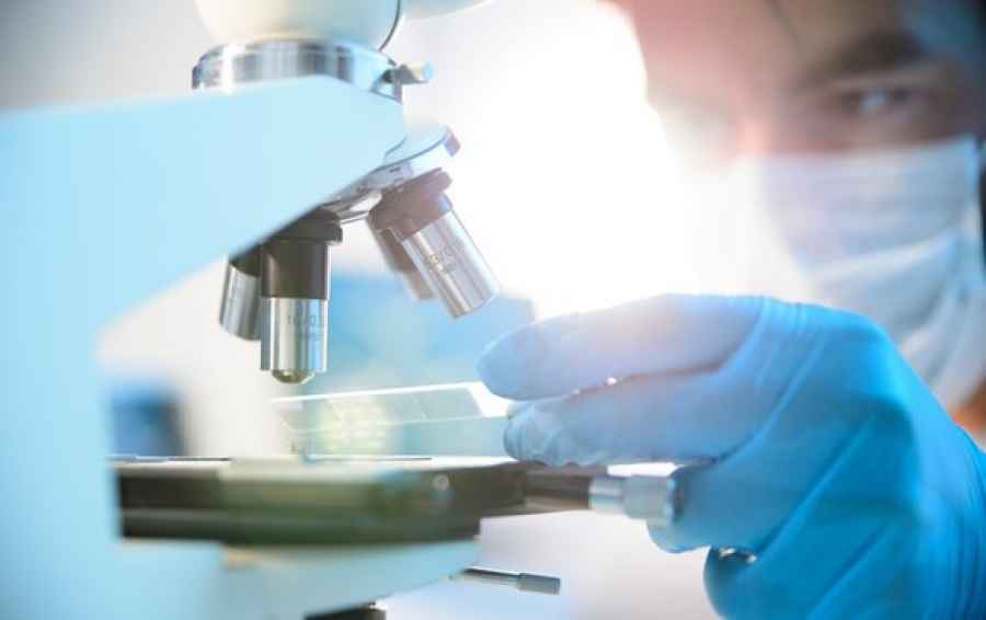 Investigadores alemanes logran por primera vez eliminar el virus de la hepatitis B