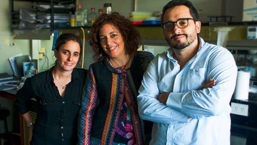 CONICET: hallaron una droga para combatir el c&aacute;ncer de mama y &uacute;tero