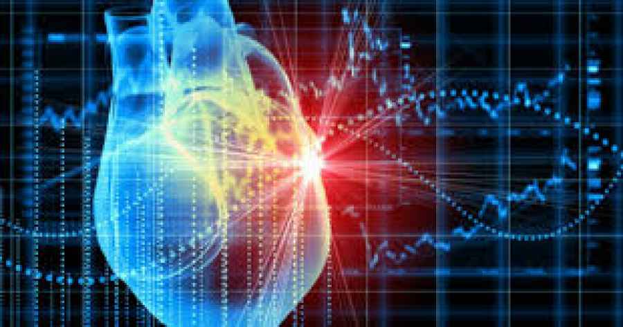 Una prote&iacute;na podr&iacute;a modular la cardiotoxicidad inducida por quimioterapia