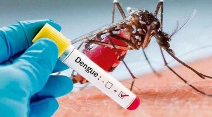 TAK-003 est&aacute; en estudio para prevenir el dengue provocado por cualquiera de los cuatro serotipos del virus en personas de entre 4 y 60 a&ntilde;os.