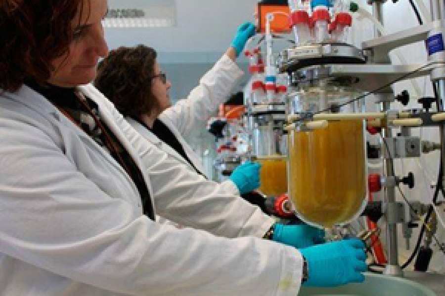 Este &lsquo;digestor din&aacute;mico in vitro&rsquo; reproduce las condiciones naturales del tracto gastrointestinal humano