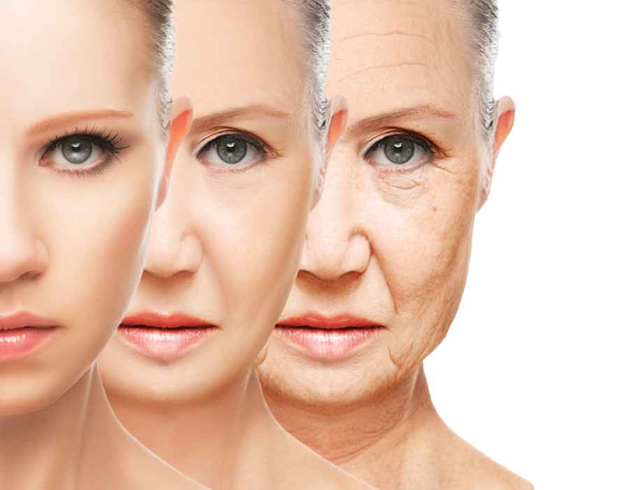 Identifican cómo la piel envejece, pierde grasa e inmunidad