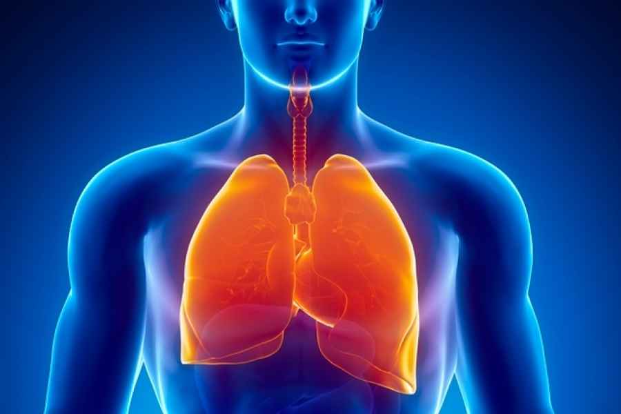 Janssen Argentina incorpora Hipertensi&oacute;n Pulmonar como su sexta &aacute;rea terap&eacute;utica