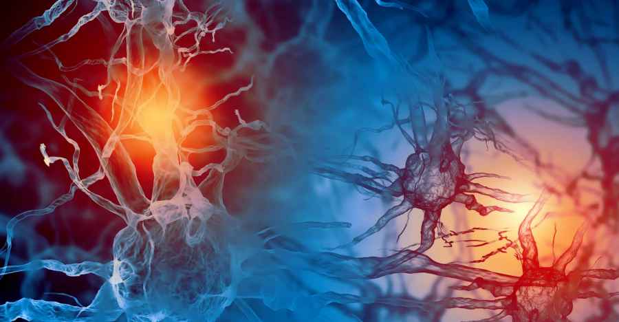 Nuevo enfoque para el tratamiento no invasivo de trastornos neurol&oacute;gicos