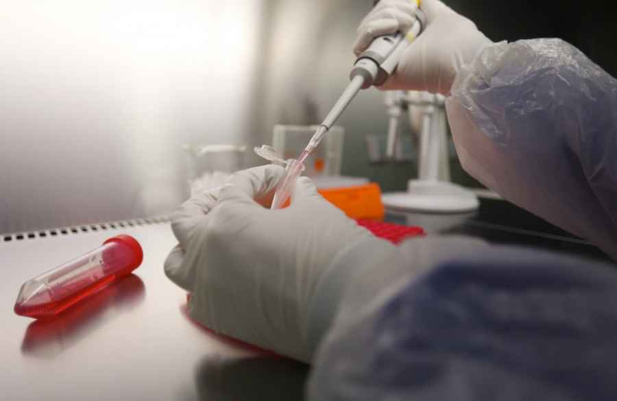 Desarrollan el primer f&aacute;rmaco que bloquea la diseminaci&oacute;n metast&aacute;sica en c&aacute;ncer colorrectal