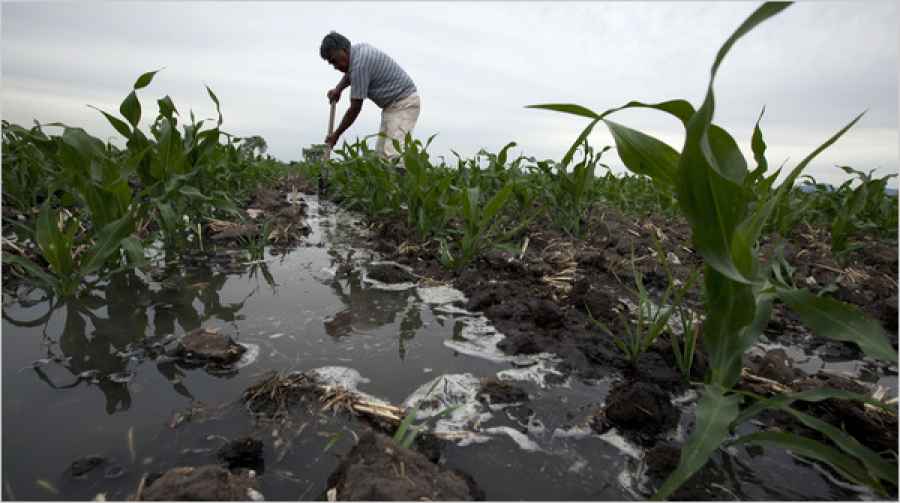 Vinculan los metales del suelo con las muertes por c&aacute;ncer