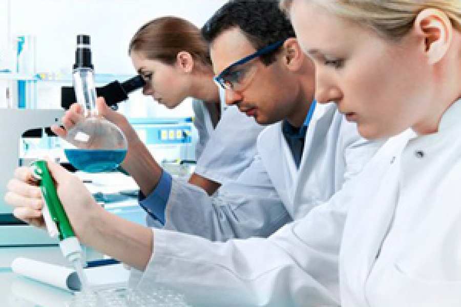 Un estudio del Centro M&eacute;dico de la Universidad de Georgetown revela que E6, una oncoprote&iacute;na producida por el virus, interact&uacute;a con otras mol&eacute;culas en las c&eacute;lulas hu&eacute;sped, de modo que garantiza que las c&eacute;lulas infectadas no puedan morir.