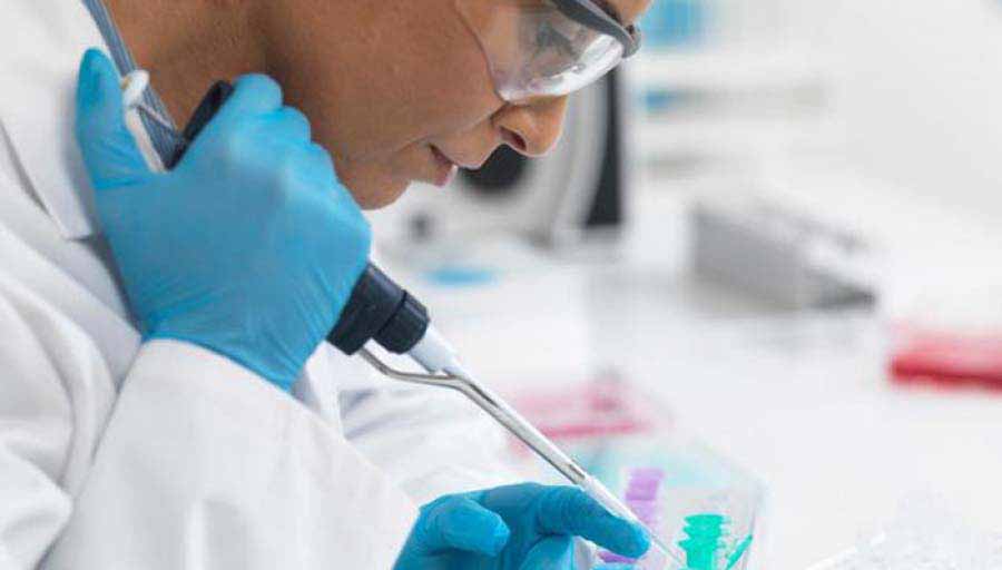 Adelanto cient&iacute;fico