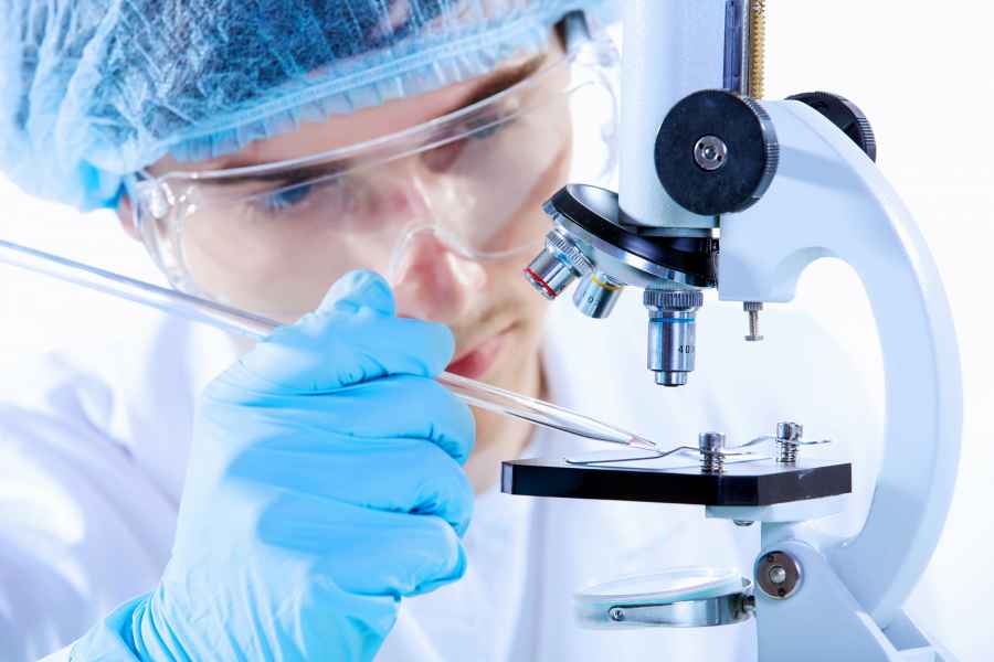 Crean piel nueva reprogramando las c&eacute;lulas de una herida abierta