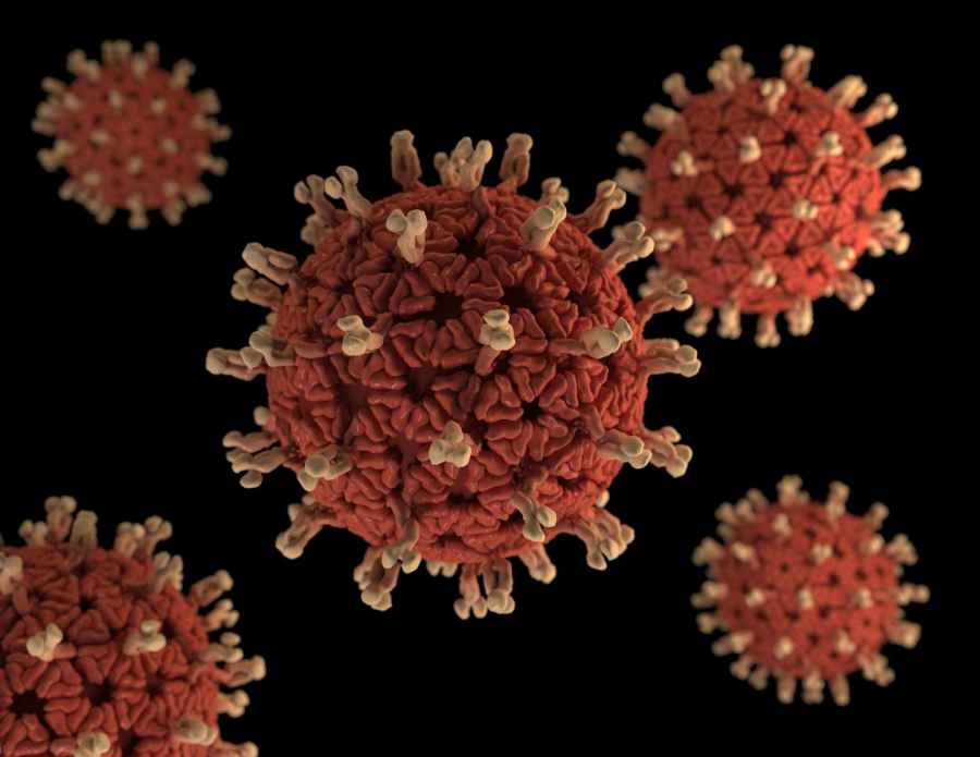 El caparaz&oacute;n proteico del rotavirus encierra las claves de la infecci&oacute;n