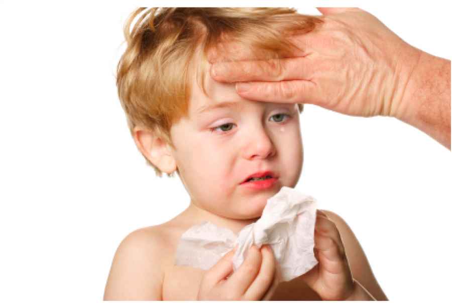 Nuevo enfoque en la b&uacute;squeda de una vacuna contra el virus sincitial respiratorio