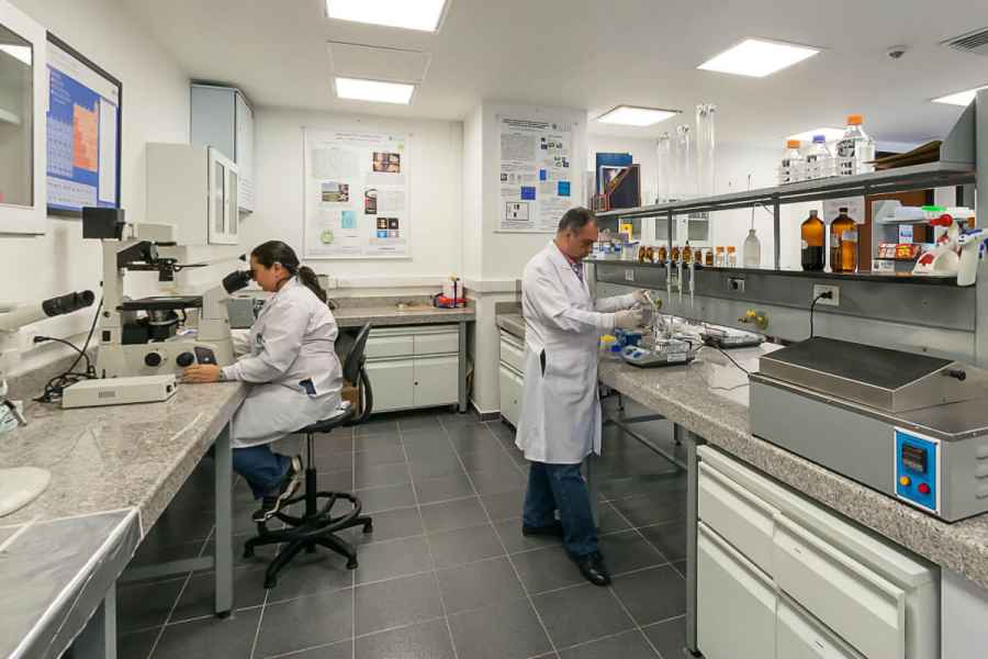 Estudian un gel que curar&iacute;a la epiderm&oacute;lisis ampollosa