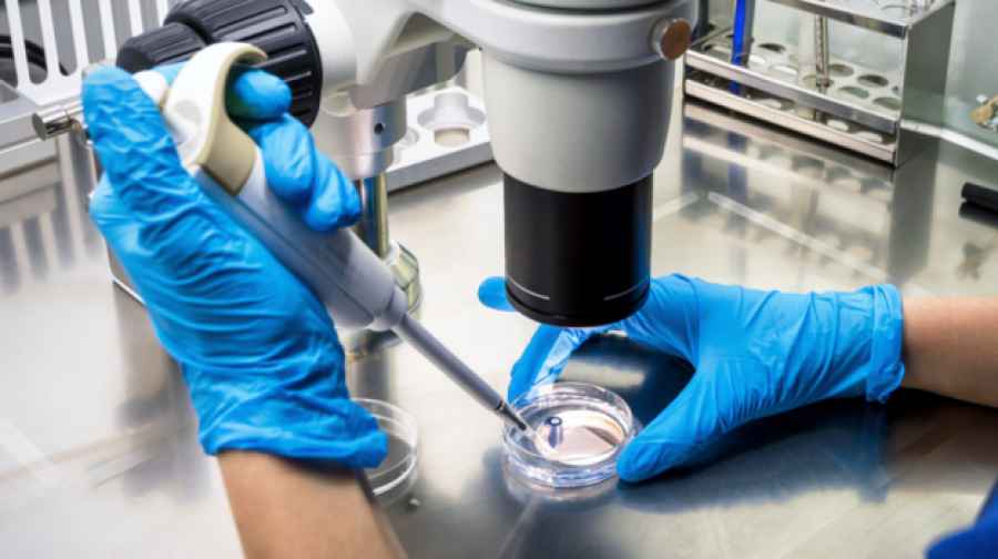 Se lograron secuenciar los genomas de dos nuevas cepas de Trypanosoma Cruzi