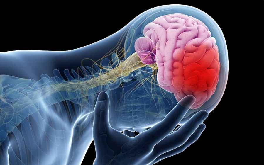 El colesterol demasiado bajo puede aumentar el riesgo de ictus