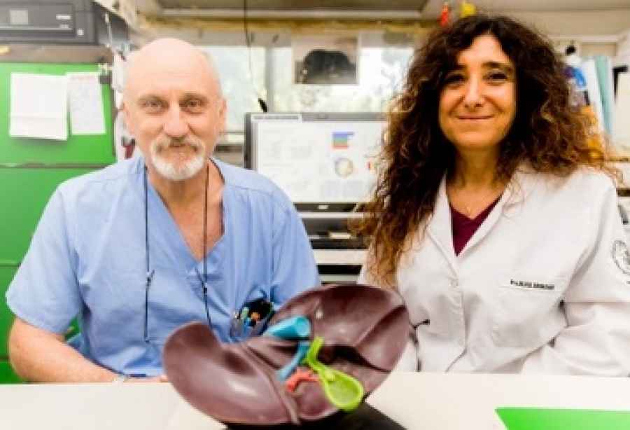 Es una investigaci&oacute;n de cient&iacute;ficos del CONICET quienes hicieron un metaan&aacute;lisis que incluy&oacute; los datos de 16 estudios cl&iacute;nicos que sumaron la evoluci&oacute;n de 24,676 pacientes con COVID-19 que eran hipertensos.