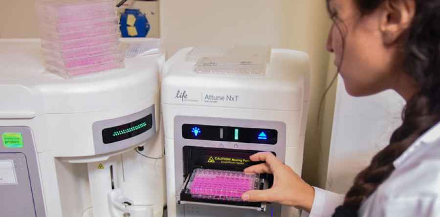 Cient&iacute;ficos cordobeses hacen una plataforma de b&uacute;squeda de drogas para combatir el c&aacute;ncer